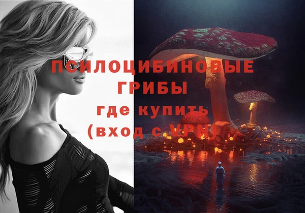 герыч Протвино