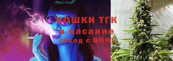 сатива Армянск
