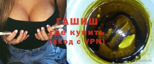 сатива Армянск