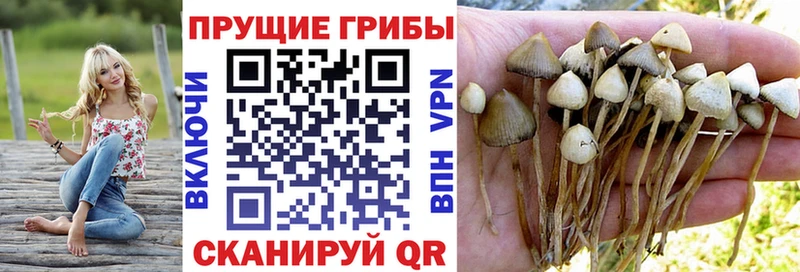 Псилоцибиновые грибы Psilocybe  наркошоп  Ирбит 
